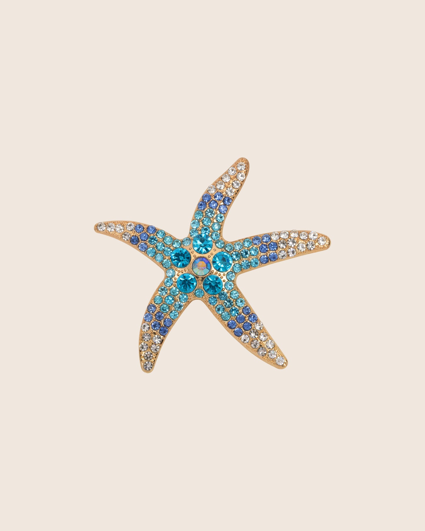 Broche Zeester blauw