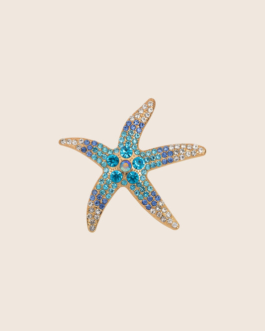 Broche Zeester blauw